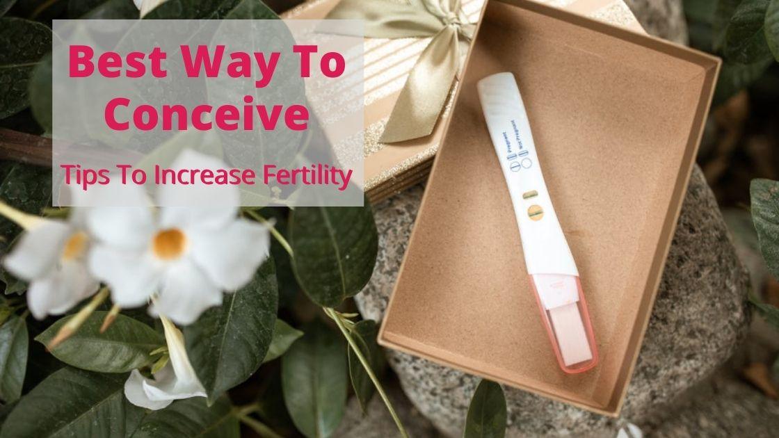 The Best Way To Conceive Tips To Increase Fertility SpeciallyMe®
