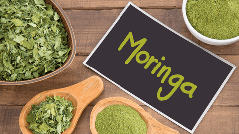 Moringa Tea Benefits for Pregnant Women