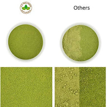 Load image into Gallery viewer, Moringa Powder 1LB (16Oz) 100% Certified Organic Oleifera Leaf - (100% Pure Leaf | NO Stems) - Raw from India | Smoothies | Drinks | Tea | Recipes - Resealable Bag